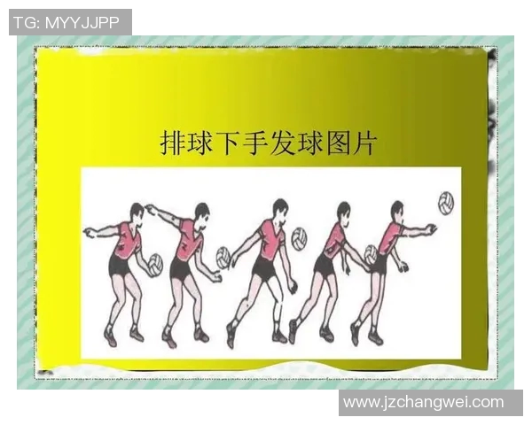 排球新手必看：提升灵活性的全面入门攻略与技巧分享