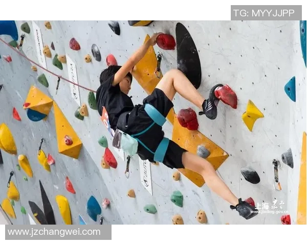 南京攀岩队与上海攀岩队的精彩对决分析与力量对比